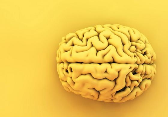 Online žaidimas "Susiremkim protais"