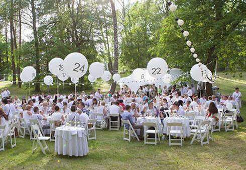 Komandos formavimo ir įmonių vasaros renginiai Europos parke