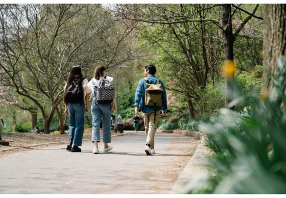 Žygis "Gedimino Vilniaus ištakos" ir alaus degustacija