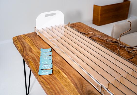 Mini Madagaskaro tarakonų lenktynės