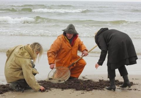 Jūsų gidas gintariniame Lietuvos pajūryje!
