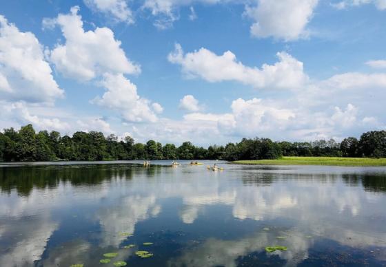 Plaukimas baidarėmis Verkne ir Nemunu (Vyšniūnai - Birštonas)