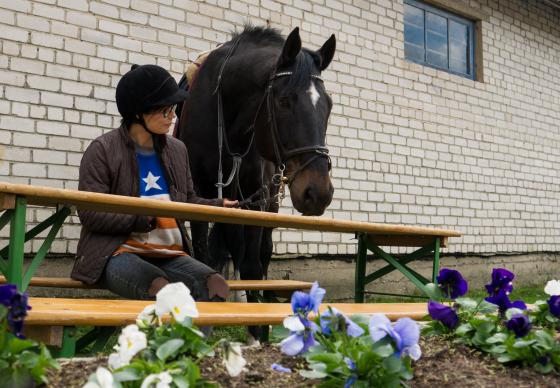 Seminaro programa kolektyvams ,,Į save - per žirgą''