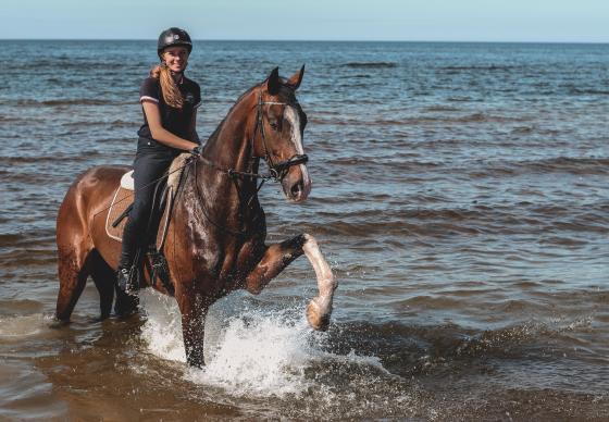 Jodinėjimas paplūdimiu kolektyvams