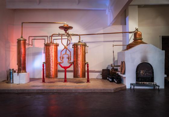 Apsilankymas ir degustacija dvaro Spirito varykloje