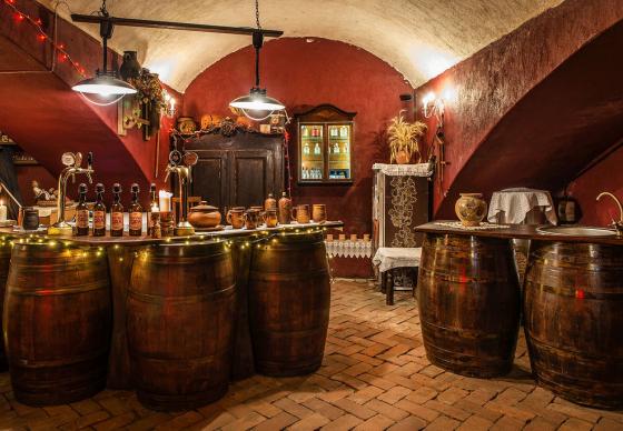 Viešnagė pas dvaro Žaldoką su pietumis