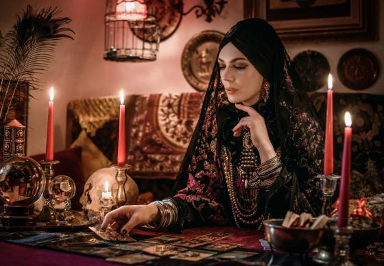 VAIDUOKLIŲ MEDŽIOKLĖ PAKRUOJO DVARE