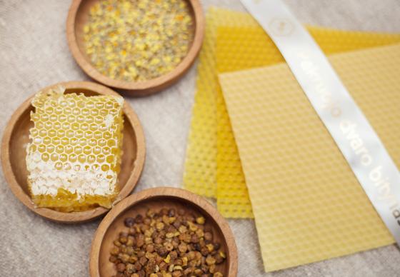 Edukacija pas dvaro bitininkę