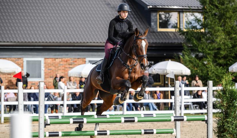 Horsburg Equestrian Club  - išskirtinė vieta renginiams šalia Vilniaus!