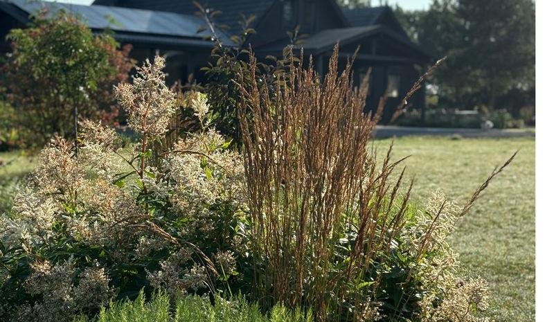 Forest River Resort šalia Trakų