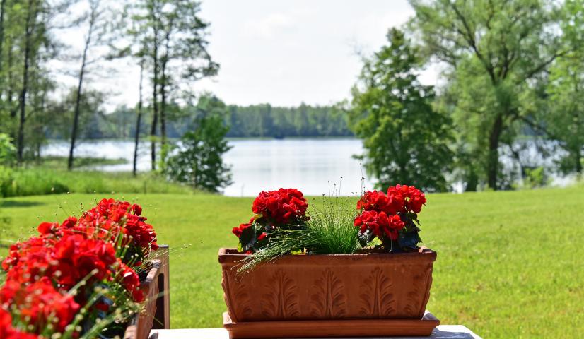 Palaima Hotel & Restaurant Anykščiai