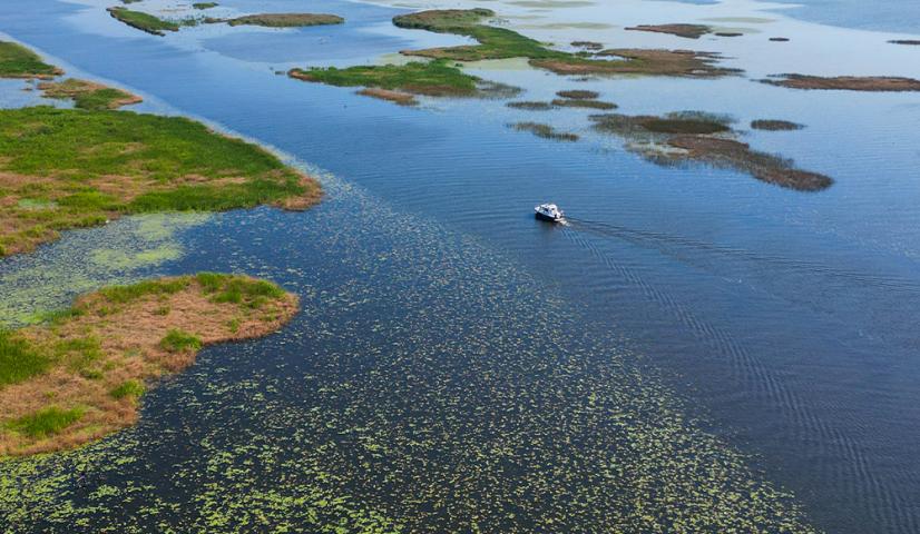 Gresa Laivai - Kuršių Nerijos pramoga!