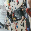 Laipiojimo pramogos komandai - BONOBO laipiojimo centre VILNIUJE