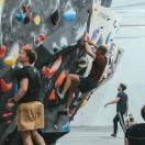 Laipiojimo pramogos komandai - BONOBO laipiojimo centre VILNIUJE