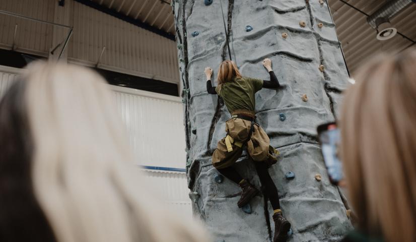 Mobili laipiojimo sienelė - BOKŠTAS