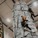 Mobili laipiojimo sienelė - BOKŠTAS