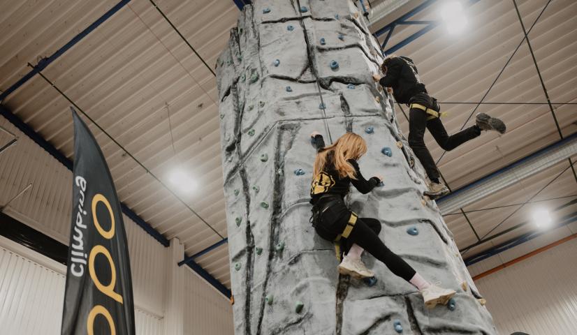 Mobili laipiojimo sienelė - BOKŠTAS