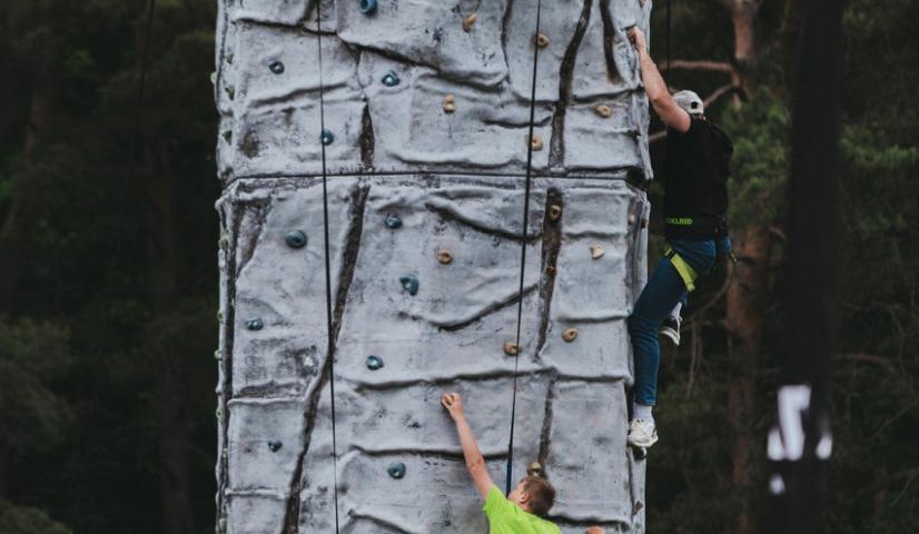 Mobili laipiojimo sienelė - BOKŠTAS