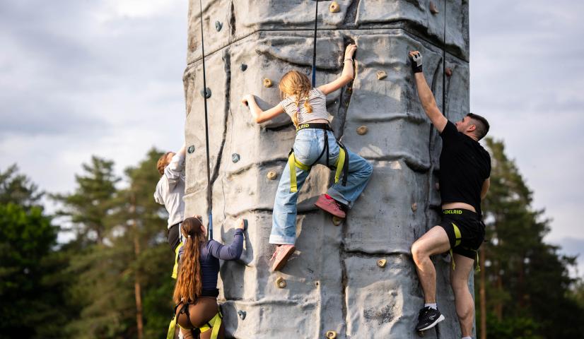 Mobili laipiojimo sienelė - BOKŠTAS