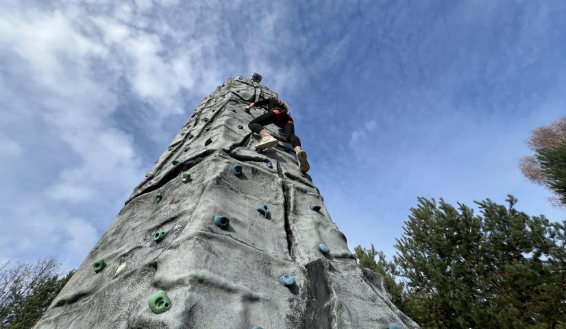 Mobili laipiojimo sienelė - BOKŠTAS