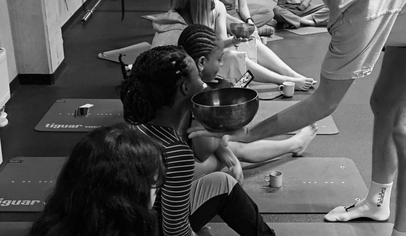 HARMONIZUOJANČIŲ INSTRUMENTŲ SKAMBINIMO PRAKTIKA