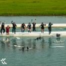 Vandenlenčių treniruotė su treneriu